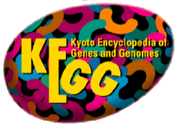 KEGG logo